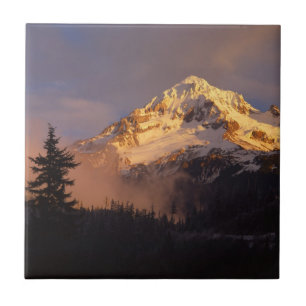 USA, Oregon, Mt. Hood National Forest Tile