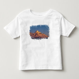 USA, Oregon, Mt Hood. Sunset creates alpenglow Toddler T-Shirt