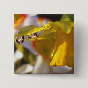 USA, Oregon, Multnomah County, Close-up of 15 Cm Square Badge