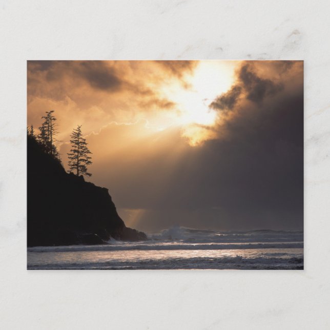 USA, Oregon, near Oswald West State Park, Late Postcard (Front)