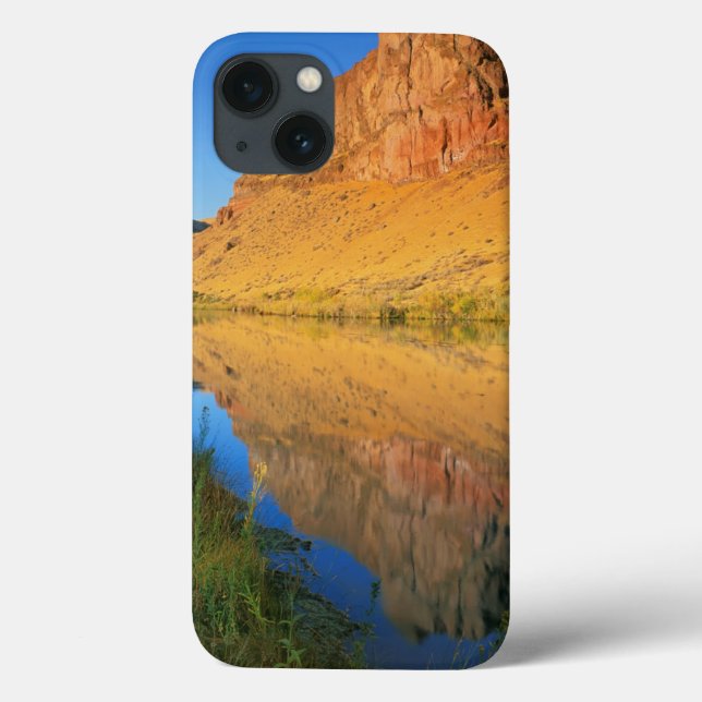 USA, Oregon, Owyhee River Canyon Case-Mate iPhone Case (Back)