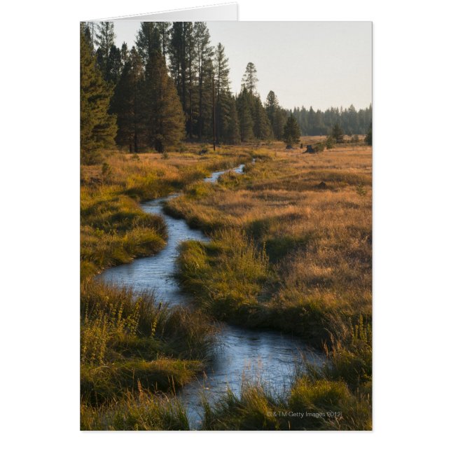 USA, Oregon, Paulina Creek (Front)