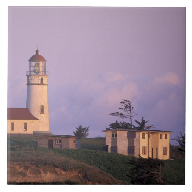 USA, Oregon, Port Orford Region, Cape Blanco Tile (Front)