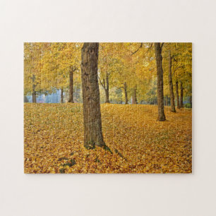 USA, Oregon, Portland. American Linden Trees Jigsaw Puzzle