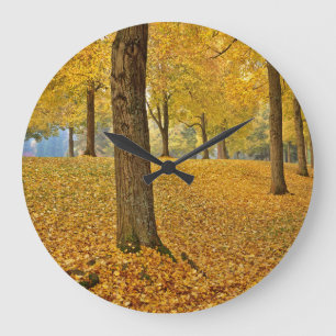 USA, Oregon, Portland. American Linden Trees Large Clock
