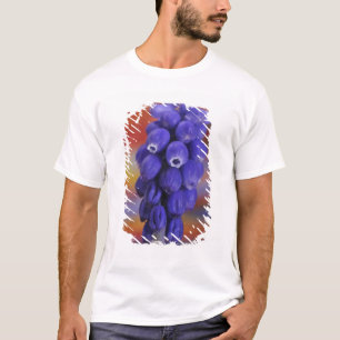 USA, Oregon, Portland. Close-up of blue grape T-Shirt