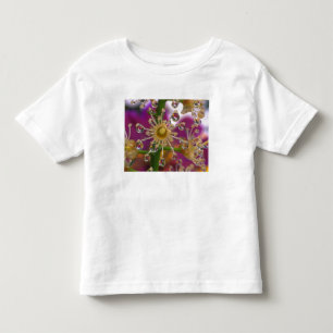 USA, Oregon, Portland. Cosmos flowers reflect in Toddler T-Shirt