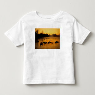 USA, Oregon, Portland. Waterfowl in Columbia Toddler T-Shirt