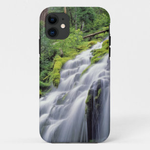 USA, Oregon, Proxy Falls. Proxy Falls rushes iPhone 11 Case