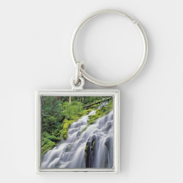 USA, Oregon, Proxy Falls. Proxy Falls rushes Key Ring (Front)