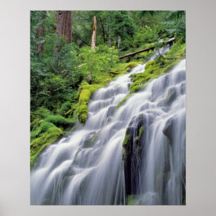 USA, Oregon, Proxy Falls. Proxy Falls rushes Poster