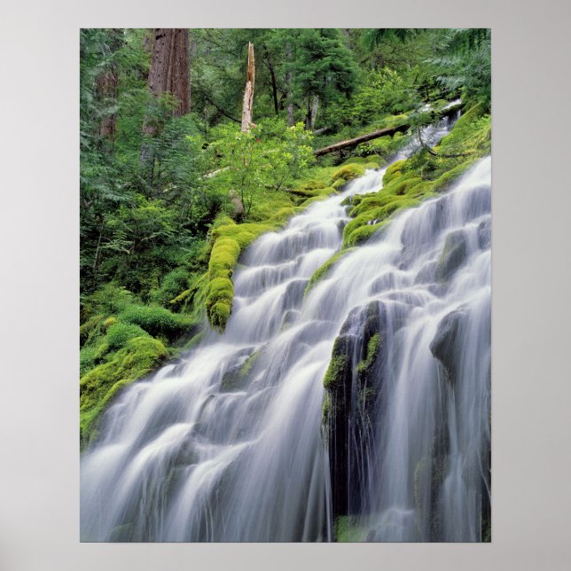 USA, Oregon, Proxy Falls. Proxy Falls rushes Poster (Front)