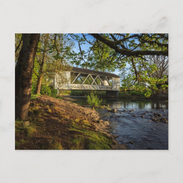 USA, Oregon, Scio, Larwood Wayside, Larwood 2 Postcard (Front)