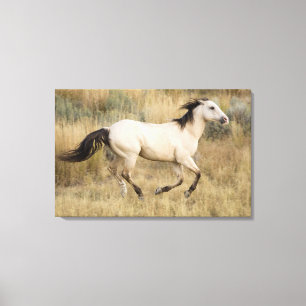 USA, Oregon, Seneca, Ponderosa Ranch. Horse Canvas Print