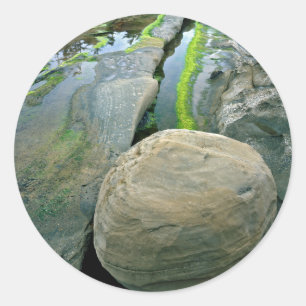 USA, Oregon, Shore Acres State Park Classic Round Sticker