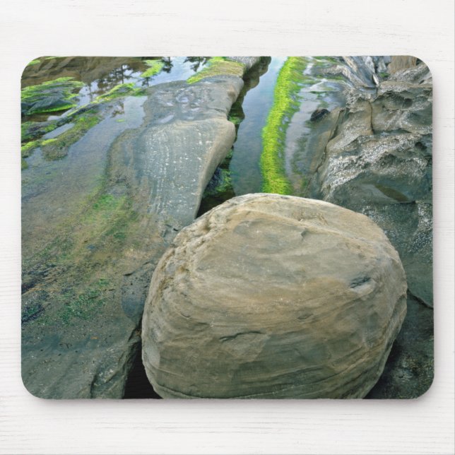 USA, Oregon, Shore Acres State Park Mouse Pad (Front)