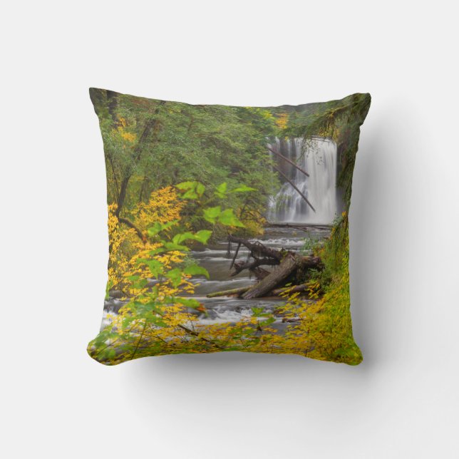 USA, Oregon, Silver Falls State Park 2 Cushion (Front)