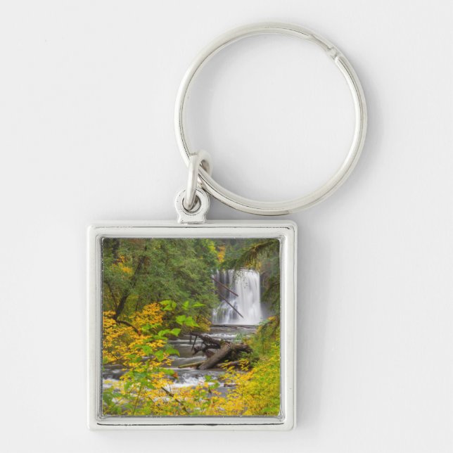 USA, Oregon, Silver Falls State Park 2 Key Ring (Front)