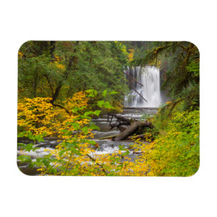 USA, Oregon, Silver Falls State Park 2 Magnet