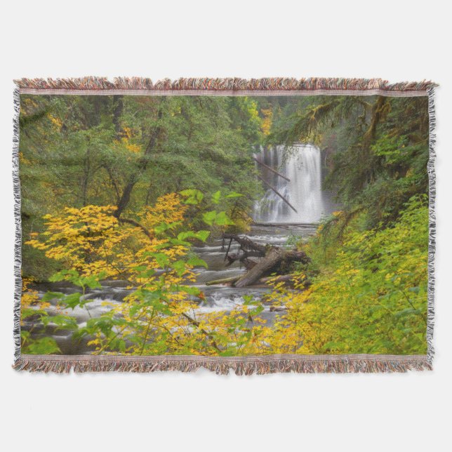 USA, Oregon, Silver Falls State Park 2 Throw Blanket (Front)