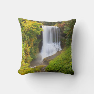 USA, Oregon, Silver Falls State Park 3 Cushion