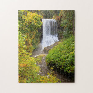 USA, Oregon, Silver Falls State Park 3 Jigsaw Puzzle