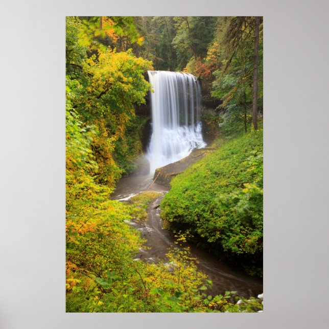 USA, Oregon, Silver Falls State Park 3 Poster (Front)
