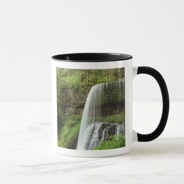 USA, Oregon, Silver Falls State Park. Lower Mug (Right)