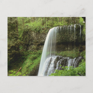 USA, Oregon, Silver Falls State Park. Lower Postcard