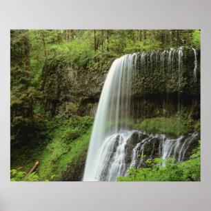 USA, Oregon, Silver Falls State Park. Lower Poster