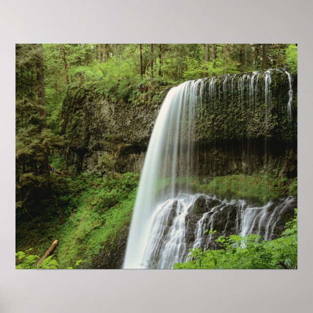 USA, Oregon, Silver Falls State Park. Lower Poster (Front)