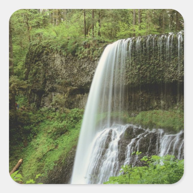 USA, Oregon, Silver Falls State Park. Lower Square Sticker (Front)