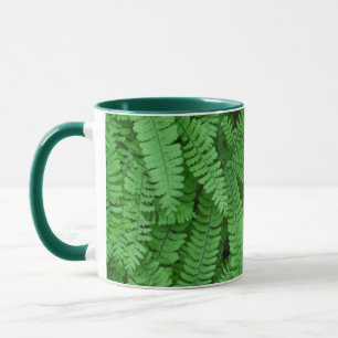 USA, Oregon, Silverton. Maidenhair Ferns Mug