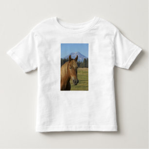 USA, Oregon, Sisters, view of Three Sisters, Toddler T-Shirt