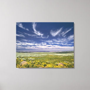USA, Oregon, Steens Mountain. Spring burgeons Canvas Print