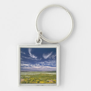 USA, Oregon, Steens Mountain. Spring burgeons Key Ring