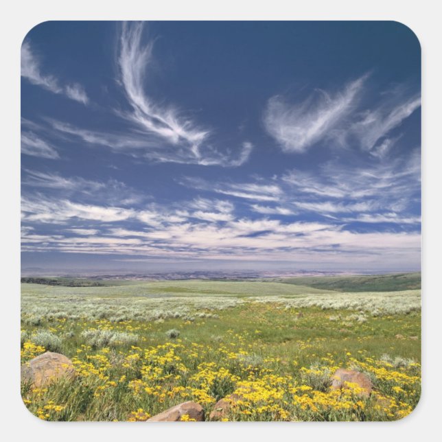 USA, Oregon, Steens Mountain. Spring burgeons Square Sticker (Front)