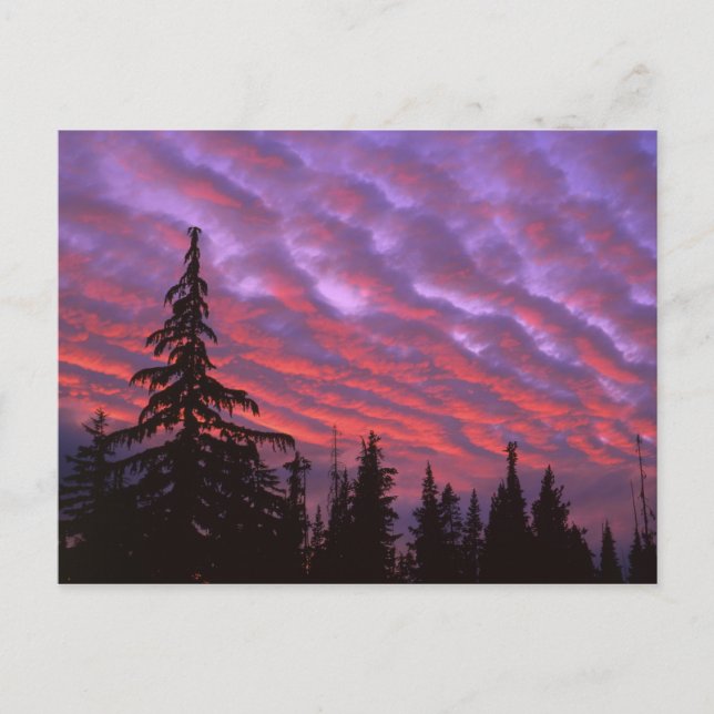 USA, Oregon, Three Sisters Wilderness, Vivid Postcard (Front)