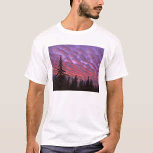 USA, Oregon, Three Sisters Wilderness, Vivid T-Shirt