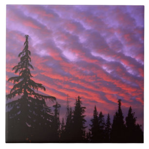 USA, Oregon, Three Sisters Wilderness, Vivid Tile