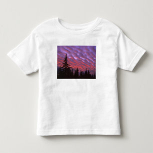 USA, Oregon, Three Sisters Wilderness, Vivid Toddler T-Shirt