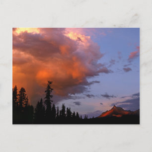 USA, Oregon, Umpqua National Forest. Storm 2 Postcard