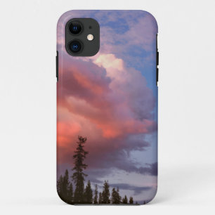 USA, Oregon, Umpqua National Forest. Storm Case-Mate iPhone Case
