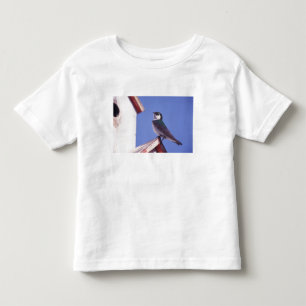 USA, Oregon. Violet-Green Swallow Tachycineta Toddler T-Shirt
