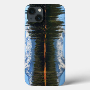 USA, Oregon, Willamette National Forest 2 iPhone 13 Case