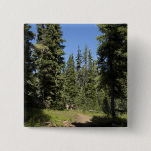 USA, Oregon, Willamette National Forest, Fall 15 Cm Square Badge