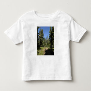 USA, Oregon, Willamette National Forest, Fall Toddler T-Shirt