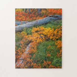 USA, Oregon, Willamette National Forest Jigsaw Puzzle
