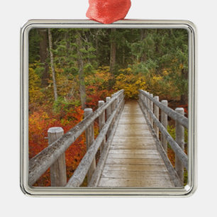 USA, Oregon, Willamette National Forest. Metal Tree Decoration