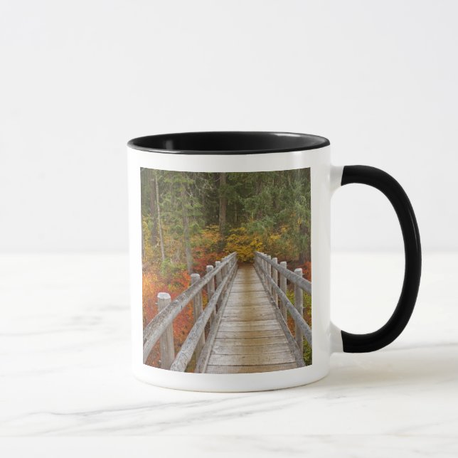 USA, Oregon, Willamette National Forest. Mug (Right)